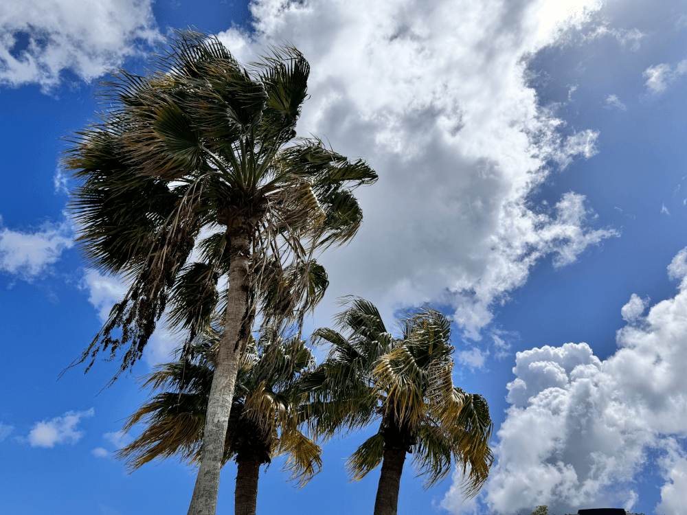 Klimaat op curacao: Wat je moet weten